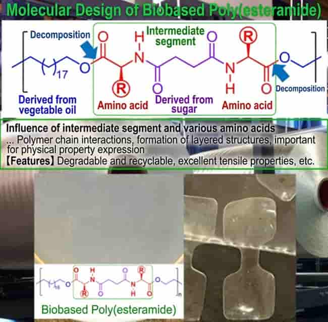 Recyclable biobased polymers